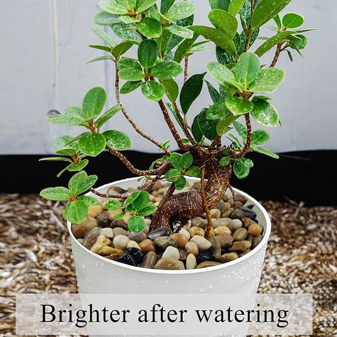 2 lbs Aquarium Gravel, 2/5 inch Pea Gravel for Fish Tank, Decorative Pebbles River Rocks for Plants Succulent Vase Indoor Water Fountains and Outdoor Landscaping