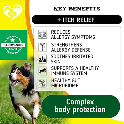 Dog Anti Itch & Allergy Relief Chews - Dry Itchy Skin & Hot Spot Treatment with Probiotic, Omega 3 Oil- Immune Supplement & Seasonal Allergies Medicine for Dogs, Puppy
