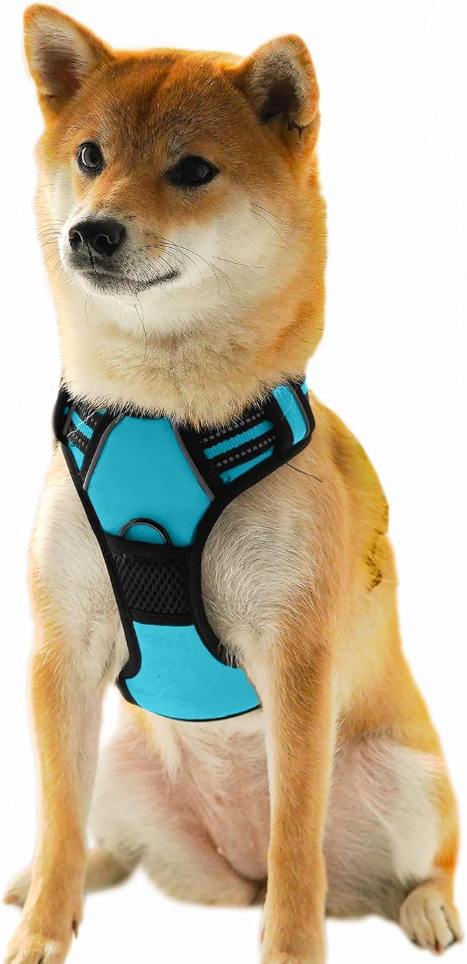 Ziggy Pet Dog Harness Adjustable Nylon Mesh Vest with Leash Clips (Blue, Large)