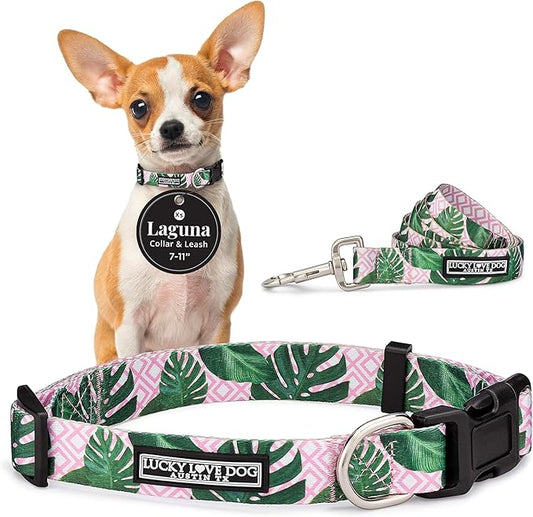 Lucky Love Dog, Tropical Matching Dog Collar & Leash Set, Soft & Comfy, Vivid Pink Color Collar and Leash for Female Male Dogs - (X-Small, Laguna Combo)