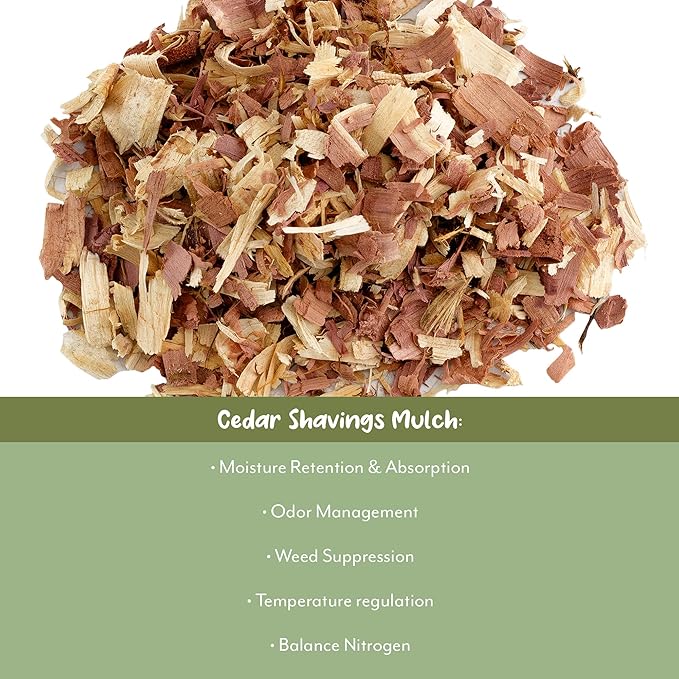 Soil Sunrise Natural Cedar Shavings Mulch/Bedding (12 Quarts) Garden Mulch and Small Animal Pet Bedding