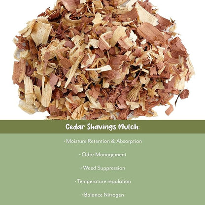 Soil Sunrise Natural Cedar Shavings Mulch/Bedding (12 Quarts) Garden Mulch and Small Animal Pet Bedding