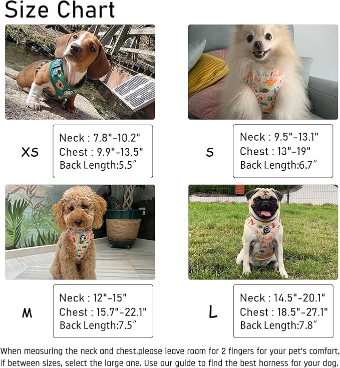Dog Harness and Leash Set, Adjustable Dog Harness, Dog Leash, No Pull No Choke Puppy Harnesses for Walking Training for Small Medium Pet (Strawberries, XS(Chest 9.9-13.5", Neck 7.8-10.2"))