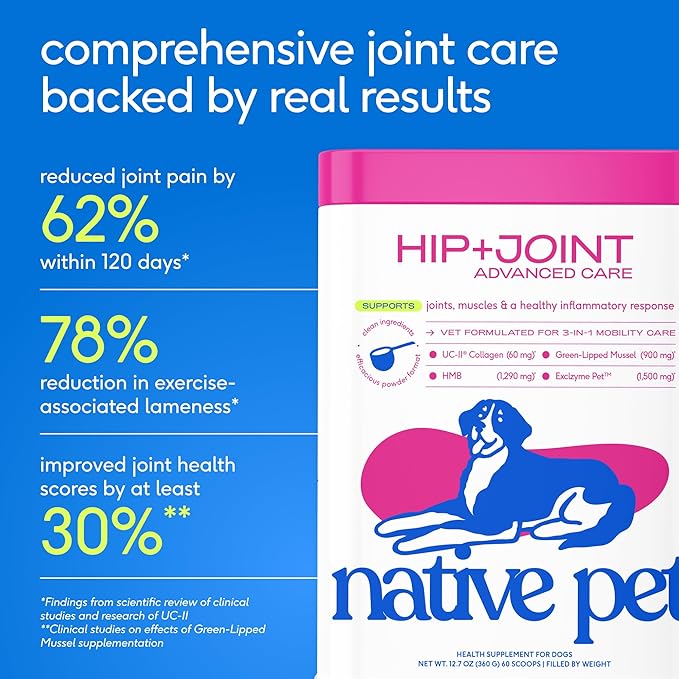 Native Pet Advanced Care - Hip & Joint Supplement for Dogs - Supports Joints, Cartilage, Muscles & Anti-Inflammatory with HMB, UC-II Collagen, Green Lipped Mussel & Hyaluronic Acid - 120 Scoops