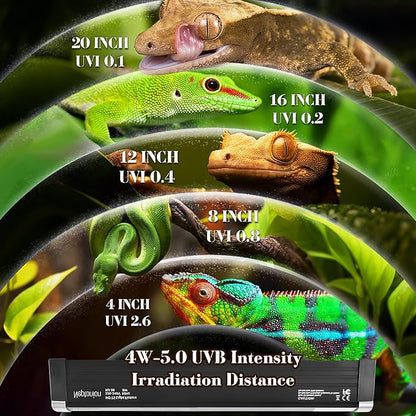NEPTONION T5 Reptile UVB Light 6.5 Inches Fixture with UVB 5.0 Bulb High Output Hood for Terrariums, Basking Reptiles, Lizards, Chameleons, Iguanas, Bearded Dragons, 4W