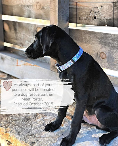 Lucky Love Dog Dog Collar, Leash Set Small, Medium, Large, Premium, Cute and Adjustable Collars for Male and Female Dogs, Winterblue Combo, Small