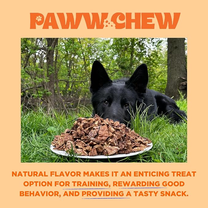 Paww Chew Beef Lung Dog Treats, 100% Natural, Single Ingredient, (2.5 Pound) Made in the USA, Dried & Dehydrated, High Protein, High Value Dog Training Treats, Grain Free, Low-Odor Free for All Breeds