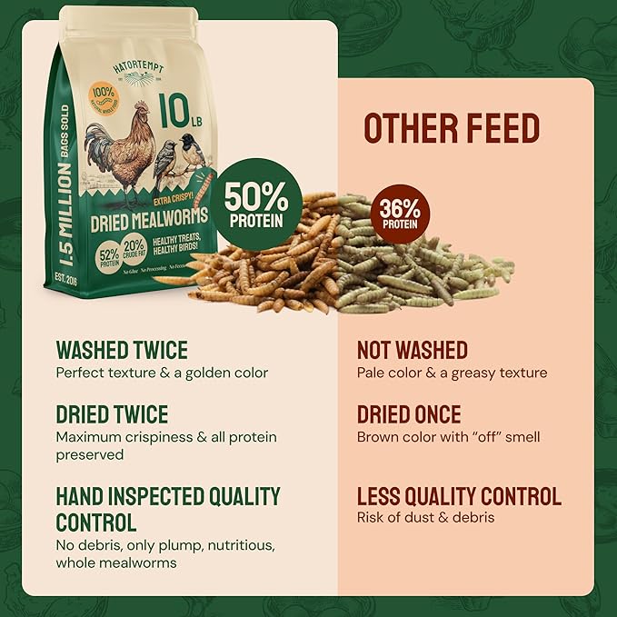 Hatortempt Bulk Dried Mealworms - 10 Lb Bag - Non-GMO Dried Mealworms for Chickens, Ducks & Wild Birds - High-Protein Chicken Feed & Bird Food