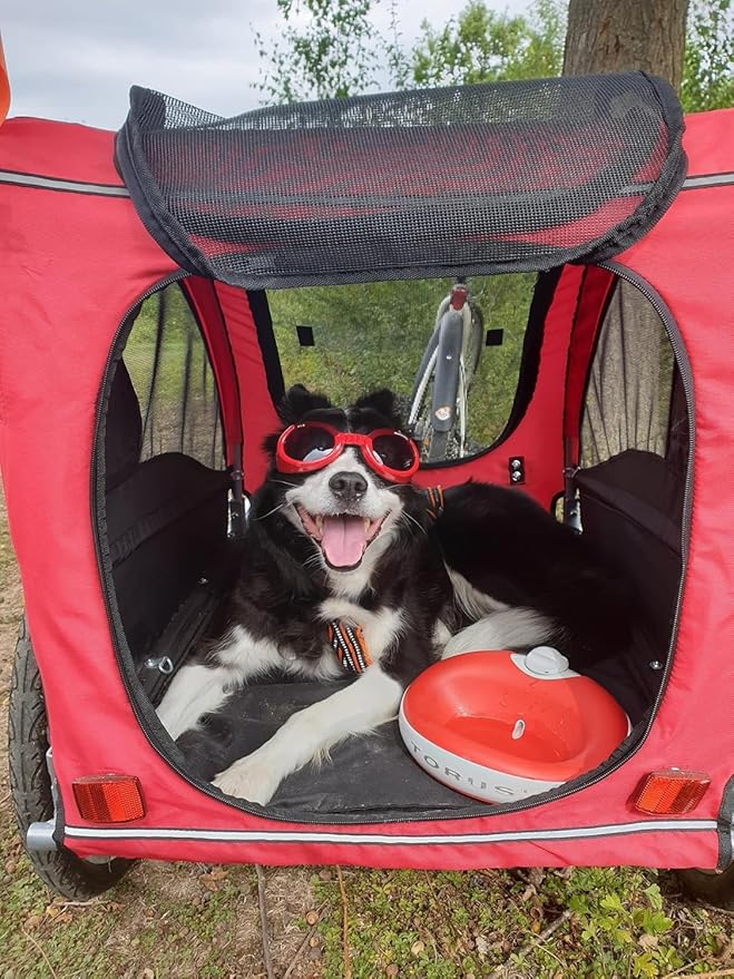 TORUS Filtered Portable Dog Water Dispenser [Upgraded 2025], 1L / 34oz, Automatic Pet Water Dispenser, No Spill, Noise-Free Dog Water Bowl Dispenser, No Power, Ideal for Small Pups and Purrfect Cats