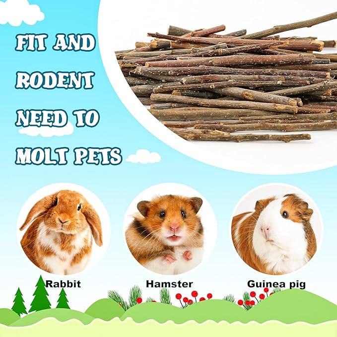 matafat 600g/1.3lb Apple Sticks Chew Toys for Guinea Pigs Rabbit Teeth Grinding Treats Toys for Bunny Chinchillas Hamster Gerbil Parrot Small Animal Pet Supplies