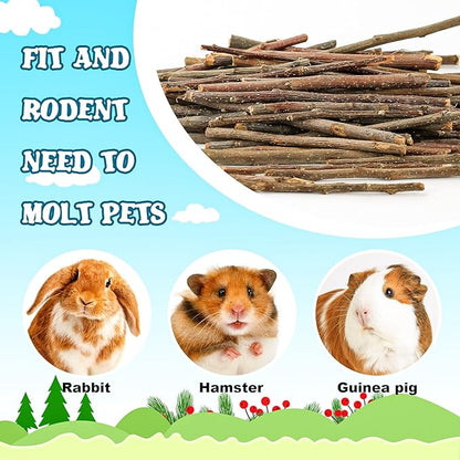 matafat 600g/1.3lb Apple Sticks Chew Toys for Guinea Pigs Rabbit Teeth Grinding Treats Toys for Bunny Chinchillas Hamster Gerbil Parrot Small Animal Pet Supplies