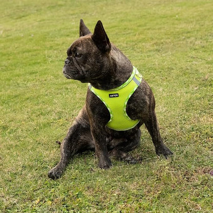 AMTOR Small Dog Harness with Leash Set, No Escape Easy Walk Puppy Harnesses for Training Walking, Step-in Reflective Soft Dogs Vest for XS S Medium Extra-Small Large Sized Dog(XL Size,Green/White)