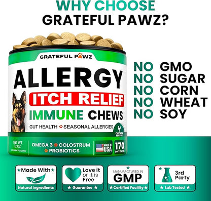 Dog Allergy Relief Chews - Dog Itching Skin Relief Treatment - 170 Chews - Anti-Itch, Hot Spots, Paw Licking - Immune Health - Omega 3 Fish Oil - Dry Itchy Skin and Coat Supplement - Made in USA