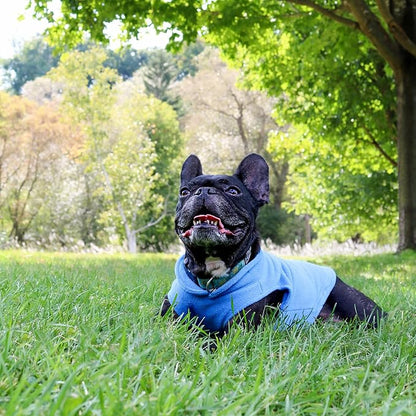 JACKO & CO - Fleece Vest Dog Sweater with Leash Ring - Soft, Warm & Lightweight Pullover Coat for Small & Medium Dogs, Puppies & Cats - Cozy Fall/Winter/Spring Pet Jacket (Blue, Small 4-6lbs)