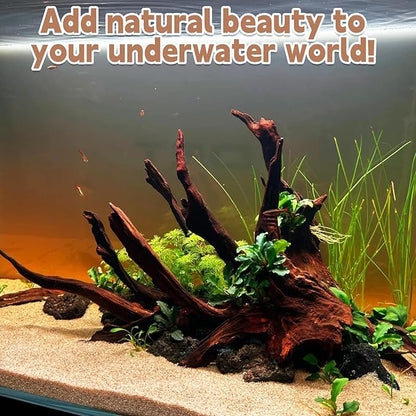 PINVNBY Natural Large Driftwood for Aquarium Fish Tank Decorations, Driftwood for Reptile Tank Bearded Dragon Tank Accessories Terrarium Decor (7.5 to 14.5 inches / 2 Pack)