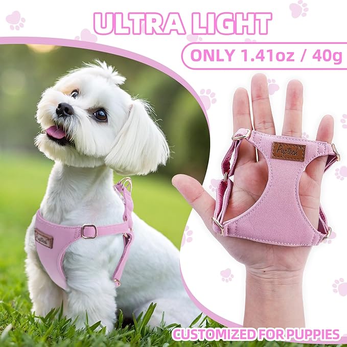 PUPTECK Dog Harness and Leash Set Small Sized, Step-in Cute Puppy Harness, Soft Lightweight Padded Vest, Escape Proof No Pull Pet Harnesses Easy for Walking, Purple, XS