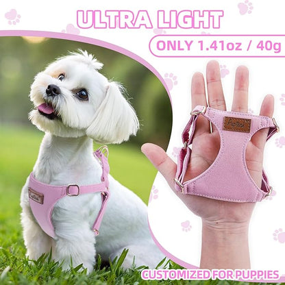 PUPTECK Dog Harness and Leash Set Small Sized, Step-in Cute Puppy Harness, Soft Lightweight Padded Vest, Escape Proof No Pull Pet Harnesses Easy for Walking, Purple, XS