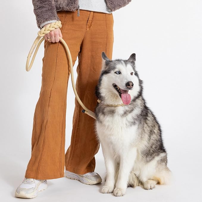 2025 New Edition, Fei & Eve Hand-Braided Dog Leash, 4FT | SP Cotton Material | Heavy Duty Training | Comfort Grip Handle for Small/Medium/Large Dogs, Champagne
