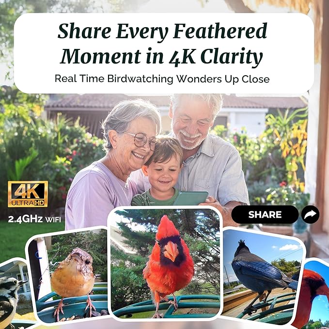 Beako™ Smart Bird Feeder with 4K Camera Solar Powered for Outdoors - UHD Live Stream for Birdwatching, AI Identification 10,000+ Bird Species, Real-Time Motion Detection, Forest Birch