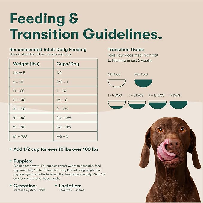 Jinx Premium Grain-Free Dry Dog Food, for All Lifestages - Grass-Fed Lamb, Sweet Potato & Carrot Dog Food with Superfoods for Immune Support & Probiotics for Digestive Support - No Fillers - 23.5lb