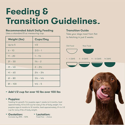 Jinx Premium Grain-Free Dry Dog Food, for All Lifestages - Grass-Fed Lamb, Sweet Potato & Carrot Dog Food with Superfoods for Immune Support & Probiotics for Digestive Support - No Fillers - 23.5lb