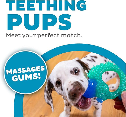 Outward Hound Cutie Chewies Hedgehog Dental Dog Chew Toy, Blue