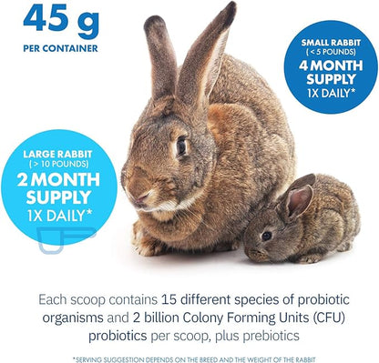 Equa Holistics HealthyGut Probiotics for Rabbits Dietary Supplement, All-Natural Digestive System Formula (120 Servings)