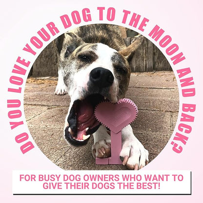 Bullibone Nylon Dog Chew Toy Nylon Bone - Improves Dental Hygiene, Easy to Grip Bottom, and Permeated with Flavor (Peppermint, Large - 3 Pack)