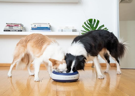 TORUS Filtered Portable Dog Water Dispenser [Upgraded 2025], 2L / 68oz, Automatic Pet Water Dispenser Noise-Free No Spill Water Bowl for Dogs, No Power Needed, Ideal for Medium & Large Pets