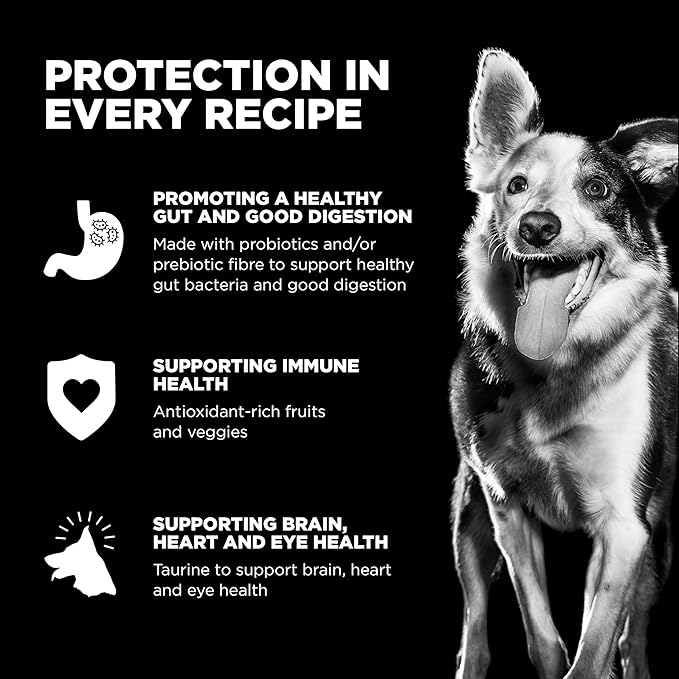 Go! Solutions Skin + Coat Care, Dry Dog Food, Lamb Recipe with Grains, 3.5 lb Bag