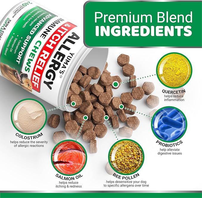 Dog Allergy Relief Chews - 240 Immune Treats - Dog Itching Skin Relief Treatment Pills - Anti-Itch - Itchy and Paw Licking - Omega 3 Fish Oil for Dogs Allergies - Dry Skin & Coat Supplement Vitamins