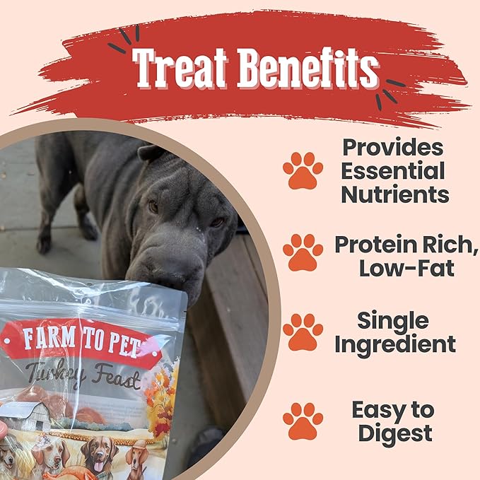 Farm To Pet Turkey Feast Chips Dog Training Treats - Turkey Chips, Single Ingredient, Lean, All Natural, Healthy Treats for Small, Medium, Large Dog Breeds, & Puppies, Made in USA