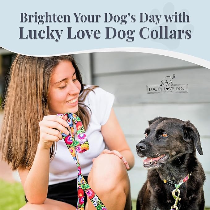 Lucky Love Dog - Easy Click Buckle Dog Collar with Leash Set Combo, Durable & Comfortable for Male & Female Dogs, Pet Collar for Small to Large Dogs, Secure Fit - Blackbird Combo, Medium