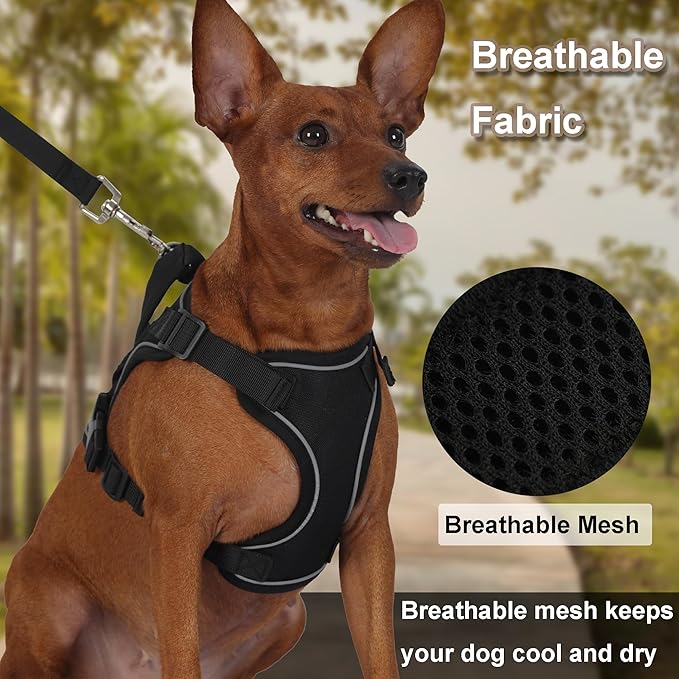 Dog Harness and Leash Set, Small Sized No Pull Pet Harness with Control Handle, Adjustable Tactical Harness for Small Medium Dogs Cats, Reflective Puppy Harness for Walking Hiking Training