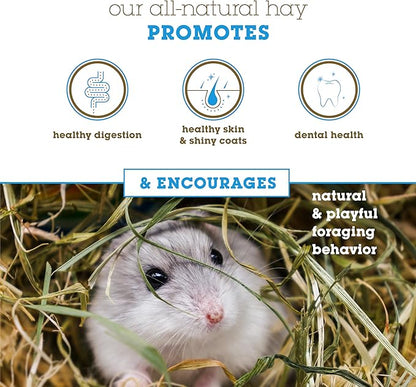 Bunny Honey Timothy Hay for Adult Rabbits, Guinea Pigs & Small Pets High-Fiber, Supports Digestive Health & Dental Care, Non-Blended & Fresh Cut