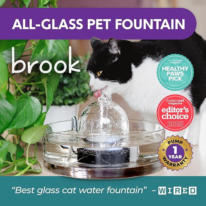 Brook Glass Pet Fountain (90oz/2.7L) – Cat Water Fountain & Small Dog Drinking Fountain – Automatic Water Dispenser Cat Fountain