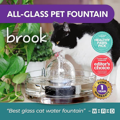 Brook Glass Pet Fountain (90oz/2.7L) – Cat Water Fountain & Small Dog Drinking Fountain – Automatic Water Dispenser Cat Fountain
