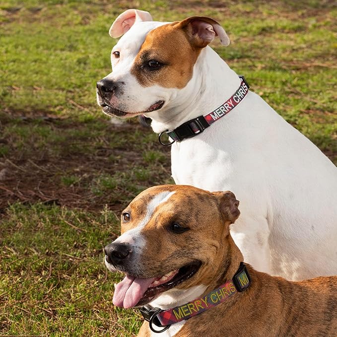 Pawtitas Personalized Dog Collar Dog Soft Adjustable Puppy Collar Customizable Embroidered add Pet Name Phone Number or Phrase Small Gift Wrap