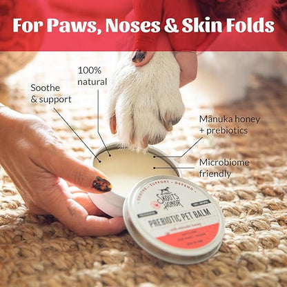 SKOUT'S HONOR Prebiotic Pet Balm - 100% Natural and Made w/Manuka Honey to Promote Healing of Your pet's paw Pads and Nose, Soothes Dry, Itchy Paws and Noses - Safe for Cats and Dogs, 2oz, 3-Pack