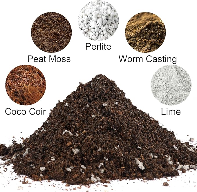 Potting Soil Mix 10qt for Indoor Plants, Organic Houseplant Soil Well Draining Dirt Ready to Use, Fit for House Plant Like Pothos, Philodendron, Monstera, African Violet