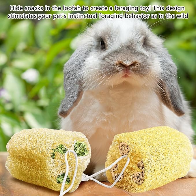 Apatal 12 Pcs Rabbit Chew Toys Natural Bunny Loofah Chew Toy Chinchilla Teeth Grinding Toys Guinea Pig Fibre-Rich Treats Enrichment Bunny Accessories for Rabbits Hamster (S)
