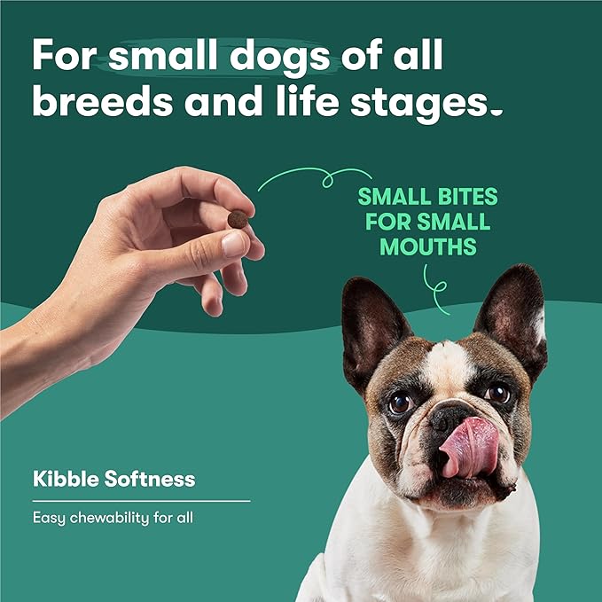 Jinx Premium Grain-Free Dry Dog Food, for All Lifestages - Real Salmon, Sweet Potato & Carrot Kibble with Superfoods for Immune Support & Probiotics for Digestive Support - No Fillers - 11.5lb