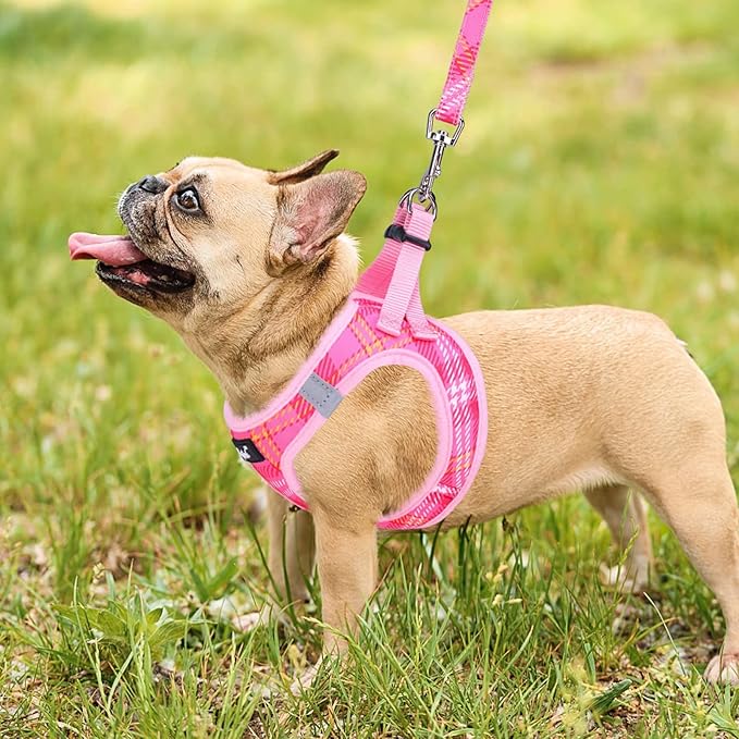 PUPTECK Dog Harness and Leash Set for Small Medium Dogs No Pull Step-in Soft Mesh Puppy Cat Vest Harnesses Reflective at Night, Plaid Pattern Pink M