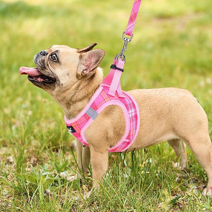 PUPTECK Dog Harness and Leash Set for Small Medium Dogs No Pull Step-in Soft Mesh Puppy Cat Vest Harnesses Reflective at Night, Plaid Pattern Pink M