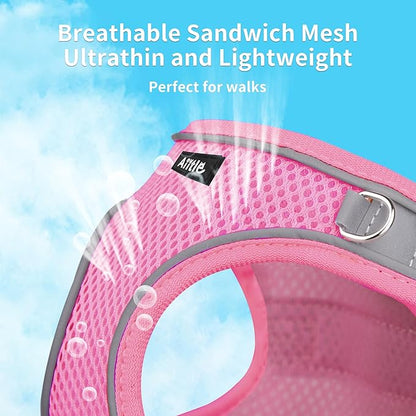 AIITLE Comfortable Dog Harness and Leash Set for Walking - Summer Step in Vest Harness,Reflective Bands, Adjustable No Pull Puppy Essentials, for Small Dogs and House Cats Pure Pink XS
