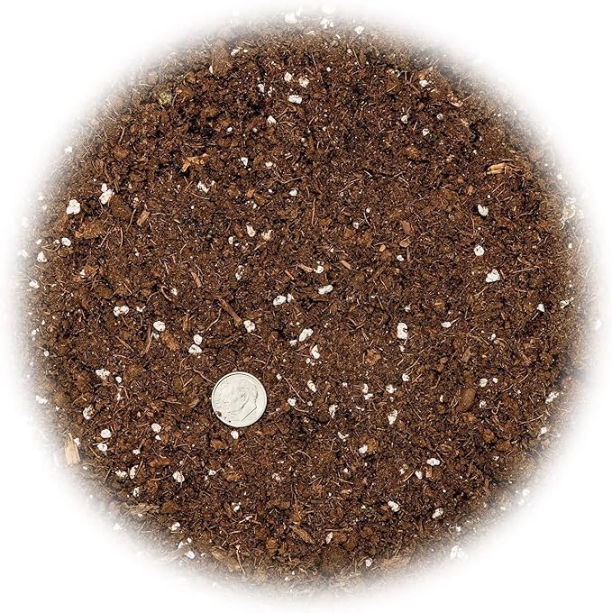 GARDENERA Citrus Tree Potting Soil Mix, Special Blend for Indoor Oranges, Lemons, Limes and More - (4 Quart Bag)