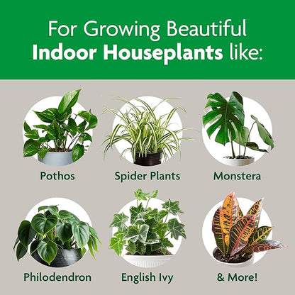 Miracle-Gro Indoor Potting Mix, Blended for a Variety of Houseplants, Feeds for up to 6 Months, 6 qt., 2-Pack