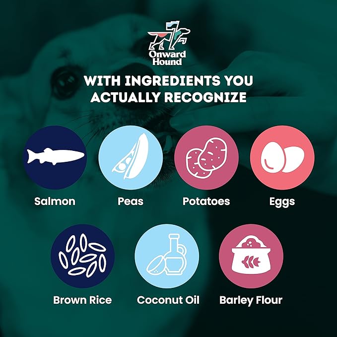 Onward Hound Training Treats for Dogs - Soft Salmon - Low Calorie Dog Training Treats for Sensitive Stomachs with Single Source Premium Protein, Corn Free, & Soy Free Formula - 4 oz