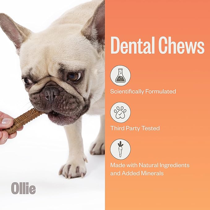 Ollie Dental Chews for Extra Small Dogs, 12 Oz, Fresh Breath, Teeth Cleaning Treats, Sticks for Dog Oral Care, with Parsley and Cinnimon, for Pups 5-15 lbs
