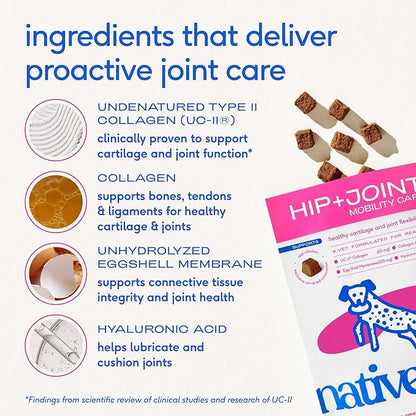 Native Pet Hip & Joint Supplement for Dogs - Advanced Dog Joint & Arthritis Supplement - Helps Maintain Healthy Cartilage, Joint Flexibility, Lubrication, & Function - with ESM & Collagen - 120 Chews